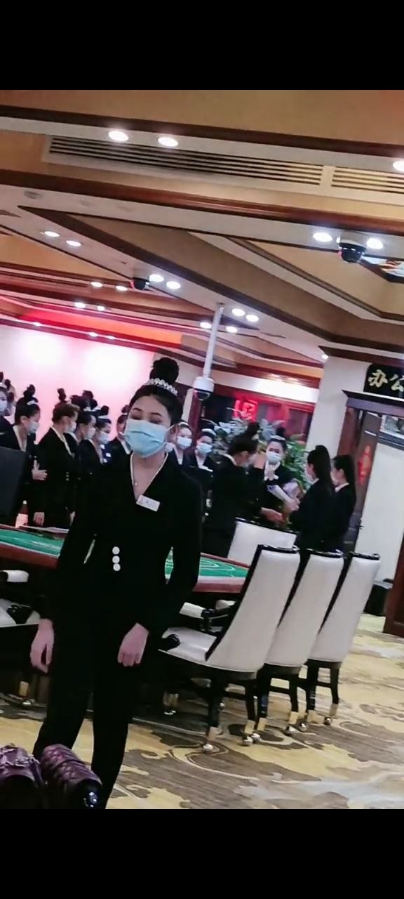 新闻动态与信息更新